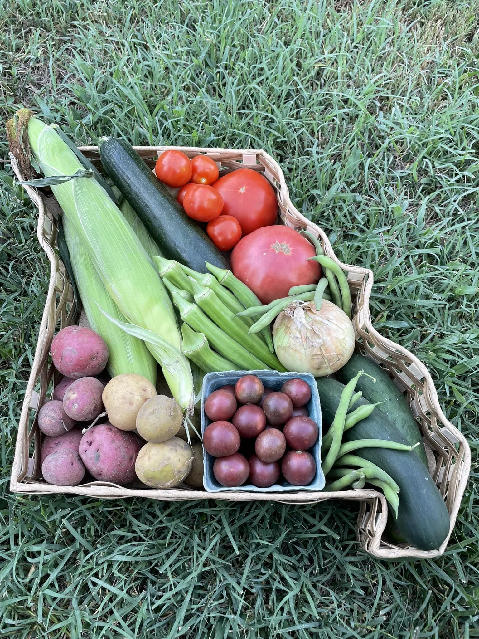 Basket filled with fresh vegetables including corn, zucchini, tomatoes, green beans, onions, and various potatoes, arranged on green grass. Ideal for promoting healthy eating and farm-to-table concepts.