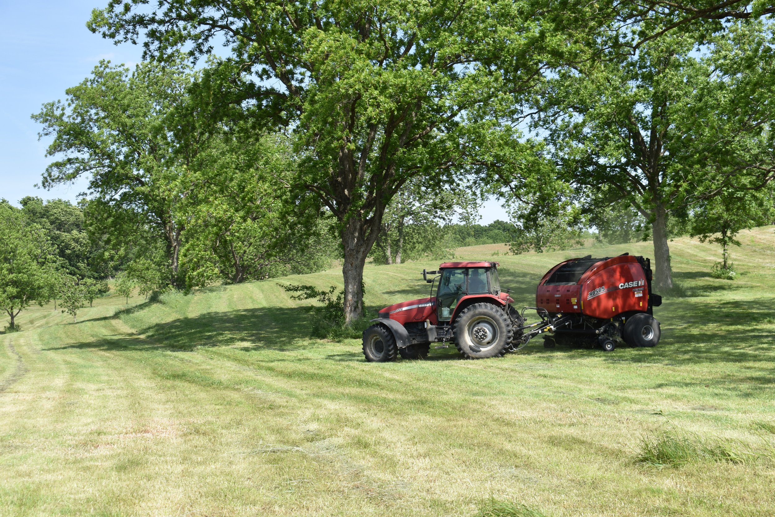Red tractor with a hay baler working in a green field surrounded by trees on a sunny day.
