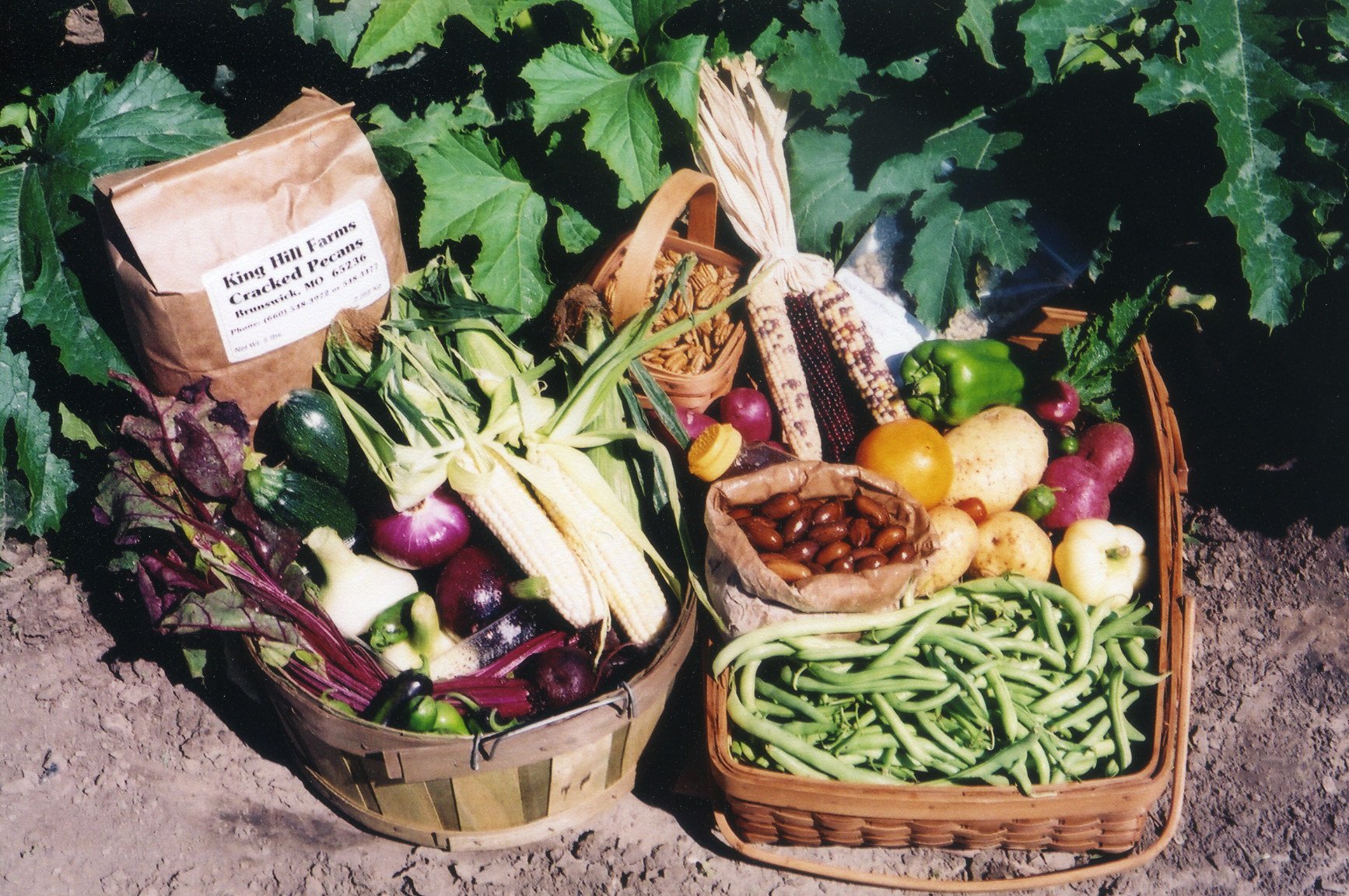 Freshly harvested vegetables and fruits in woven baskets, featuring corn, green beans, zucchini, beets, peppers, and apples, with a bag of cracked pecans from King Hill Farms. Ideal for farm-to-table enthusiasts and healthy eating advocates.